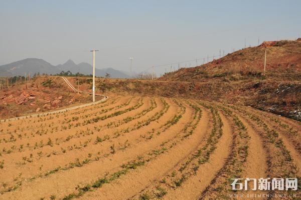 大同山林场绿色发展先锋力量最新报道