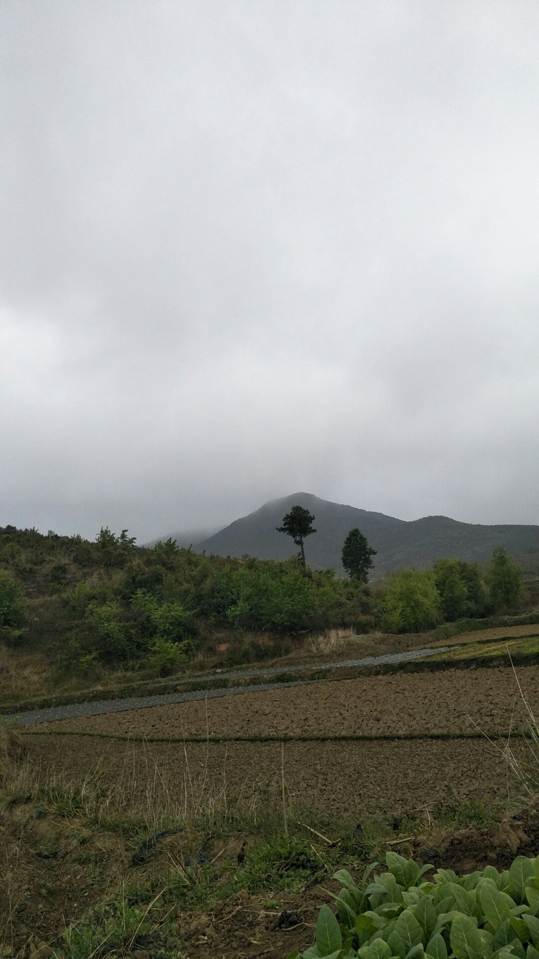 陈岱镇天气预报更新通知